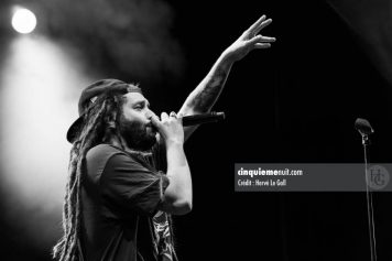 Alborosie Fête du Bruit dans Landerneau samedi 11 août 2012 par herve le gall photographe cinquieme nuit