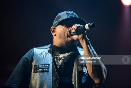 Cypress Hill Festival les Vieilles Charrues Carhaix samedi 16 juillet 2011 par herve le gall photographe cinquieme nuit